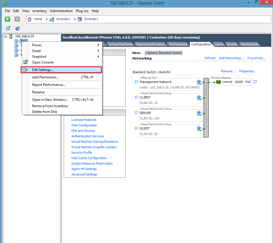 vsphere client assign ip address to virtual machine