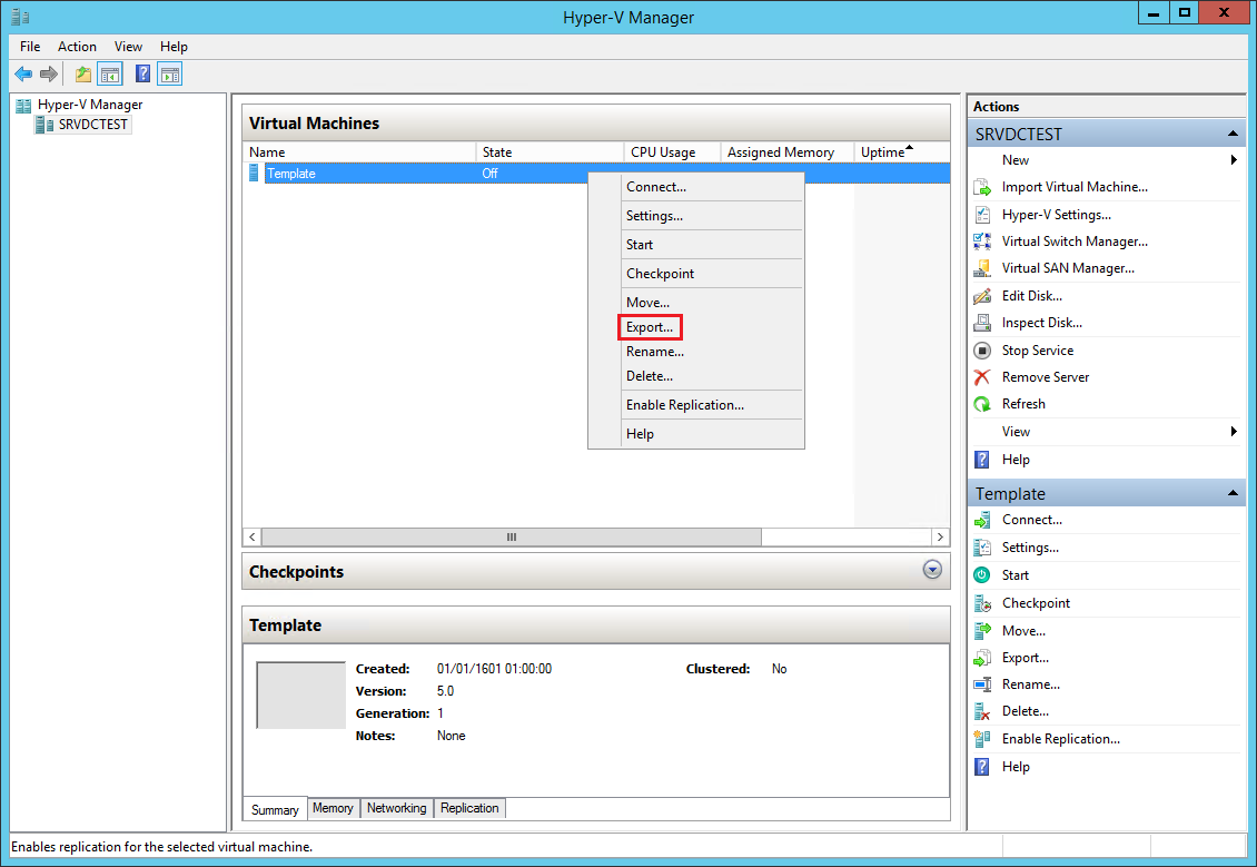 Export the virtual machine / template